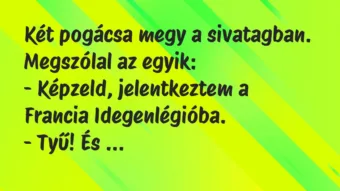 Vicc: Két pogácsa megy a sivatagban. Megszólal az egyik:
– Képzeld,… Vicc: Két pogácsa megy a sivatagban. Megszólal az egyik:
– Képzeld,…