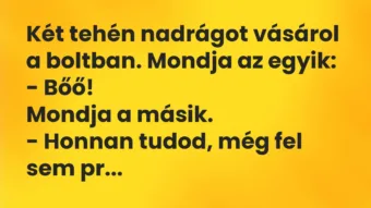 Vicc: Két tehén nadrágot vásárol a boltban. Mondja az egyik:

-…