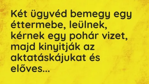 Vicc: Két ügyvéd bemegy egy éttermebe, leülnek, kérnek egy pohár vizet, majd… Vicc: Két ügyvéd bemegy egy éttermebe, leülnek, kérnek egy pohár vizet, majd…