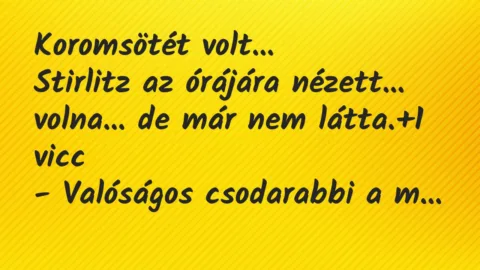 Vicc: Koromsötét volt…

Stirlitz az órájára nézett… volna… de már…