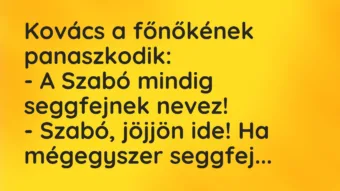 Vicc: Kovács a főnőkének panaszkodik:

– A Szabó mindig seggfejnek…