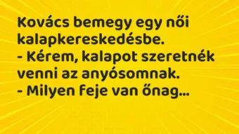 Vicc: Kovács bemegy egy női kalapkereskedésbe.

– Kérem, kalapot…