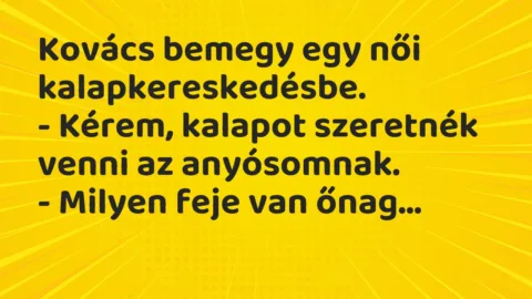 Vicc: Kovács bemegy egy női kalapkereskedésbe.

– Kérem, kalapot…
