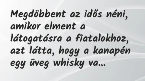Vicc: Megdöbbent az idős néni, amikor elment a látogatásra a fiatalokhoz…