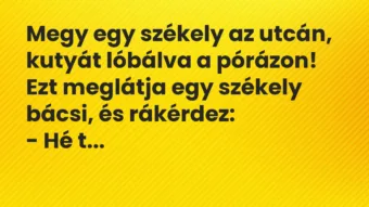Vicc: Megy egy székely az utcán, kutyát lóbálva a pórázon!

Ezt meglátja…