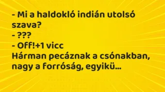 Vicc: – Mi a haldokló indián utolsó szava?

– ???

– Off!