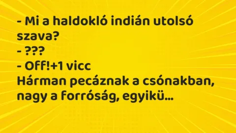 Vicc: – Mi a haldokló indián utolsó szava?

– ???

– Off!