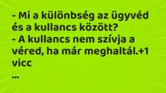Vicc: – Mi a különbség az ügyvéd és a kullancs között?
– A kullancs nem… Vicc: – Mi a különbség az ügyvéd és a kullancs között?
– A kullancs nem…