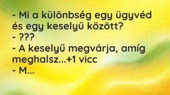 Vicc: – Mi a különbség egy ügyvéd és egy keselyű között?
– ???
– A… Vicc: – Mi a különbség egy ügyvéd és egy keselyű között?
– ???
– A…