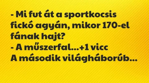 Vicc: – Mi fut át a sportkocsis fickó agyán, mikor 170-el fának hajt?

-…