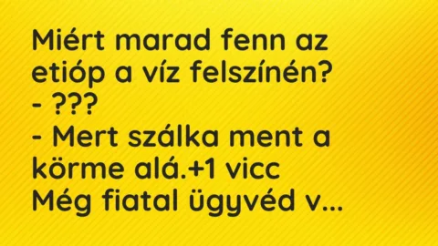 Vicc: Miért marad fenn az etióp a víz felszínén?
– ???
– Mert… Vicc: Miért marad fenn az etióp a víz felszínén?
– ???
– Mert…