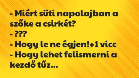 Vicc: – Miért süti napolajban a szőke a csirkét?
– ???
– Hogy le… Vicc: – Miért süti napolajban a szőke a csirkét?
– ???
– Hogy le…