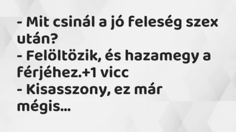 Vicc: – Mit csinál a jó feleség szex után?
– Felöltözik, és hazamegy a… Vicc: – Mit csinál a jó feleség szex után?
– Felöltözik, és hazamegy a…