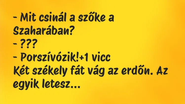Vicc: – Mit csinál a szőke a Szaharában?
– ???
– Porszívózik! Vicc: – Mit csinál a szőke a Szaharában?
– ???
– Porszívózik!