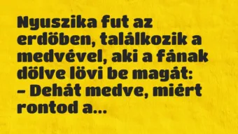 Vicc: Nyuszika fut az erdőben, találkozik a medvével, aki a fának dőlve lövi…