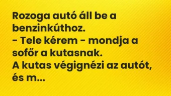 Vicc: Rozoga autó áll be a benzinkúthoz.
– Tele kérem – mondja a sofőr… Vicc: Rozoga autó áll be a benzinkúthoz.
– Tele kérem – mondja a sofőr…