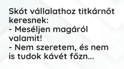 Vicc: Skót vállalathoz titkárnőt keresnek:

– Meséljen magáról…