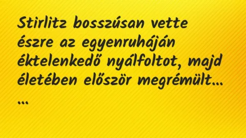 Vicc: Stirlitz bosszúsan vette észre az egyenruháján éktelenkedő nyálfoltot,… Vicc: Stirlitz bosszúsan vette észre az egyenruháján éktelenkedő nyálfoltot,…