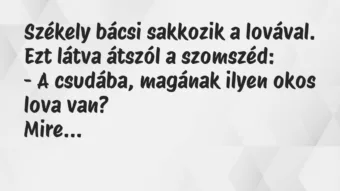 Vicc: Székely bácsi sakkozik a lovával. Ezt látva átszól a szomszéd:

-…
