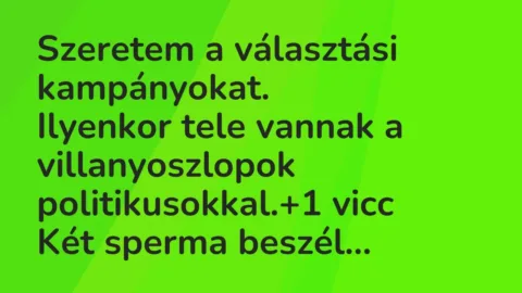 Vicc: Szeretem a választási kampányokat.

Ilyenkor tele vannak a…