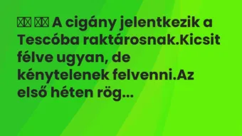 Viccek: 
		  
		  A cigány jelentkezik a Tescóba…