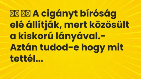 Viccek: 
		  
		  A cigányt bíróság elé állítják, mert közösült a…