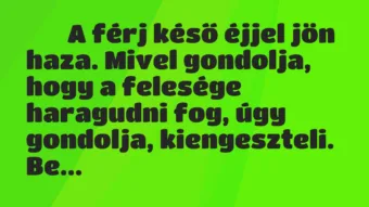 Viccek: 
		  
		  A férj késő éjjel jön haza. Mivel gondolja, hogy …