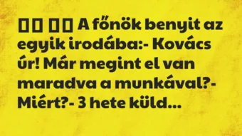 Viccek:
A főnök benyit az egyik irodába:- Kovács úr! … Viccek:
A főnök benyit az egyik irodába:- Kovács úr! …