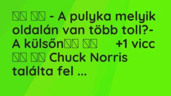 Viccek: 
		  
		  – A pulyka melyik oldalán van több toll?- A…