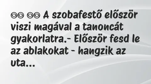 Viccek: 
		  
		  A szobafestő először viszi magával a tanoncát…