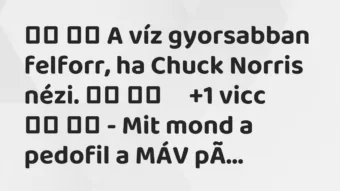 Viccek: 
		  
		  A víz gyorsabban felforr, ha Chuck Norris nézi….