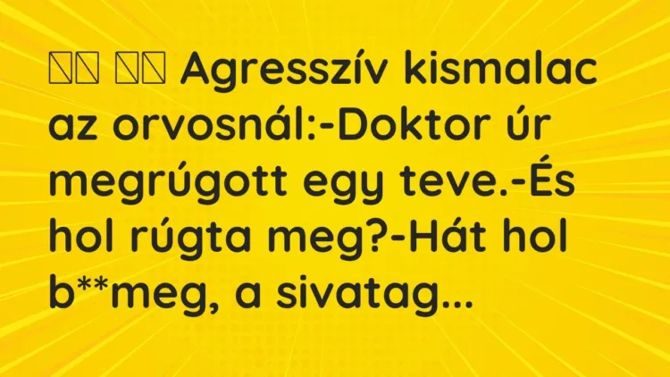 Viccek:
Agresszív kismalac az orvosnál:-Doktor úr… Viccek:
Agresszív kismalac az orvosnál:-Doktor úr…