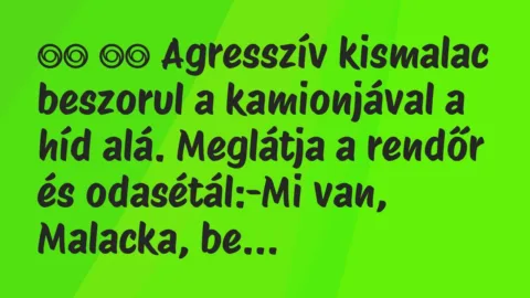 Viccek: 
		  
		  Agresszív kismalac beszorul a kamionjával a híd a…
