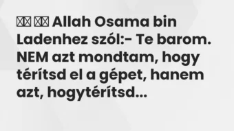 Viccek:
Allah Osama bin Ladenhez szól:- Te barom. NEM… Viccek:
Allah Osama bin Ladenhez szól:- Te barom. NEM…