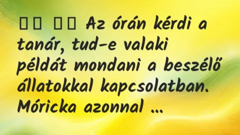 Viccek: 
		  
		  Az órán kérdi a tanár, tud-e valaki példát…