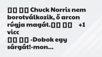 Viccek: 
		  
		  Chuck Norris nem borotválkozik, ő arcon rúgja…