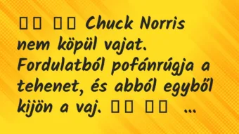 Viccek: 
		  
		  Chuck Norris nem köpül vajat. Fordulatból…