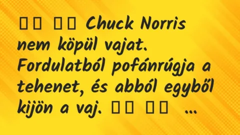 Viccek: 
		  
		  Chuck Norris nem köpül vajat. Fordulatból…