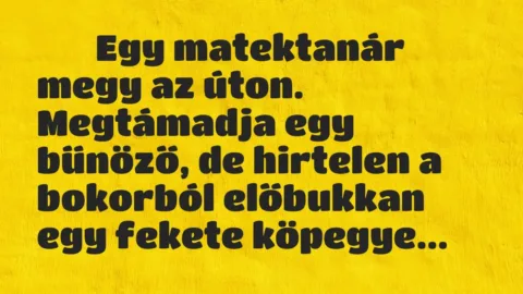 Viccek: 
		  
		  Egy matektanár megy az úton. Megtámadja egy…