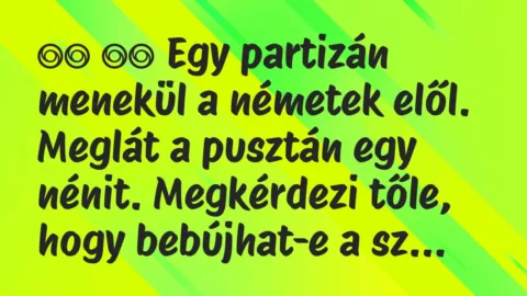 Viccek: 
		  
		  Egy partizán menekül a németek elől. Meglát a…