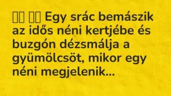 Viccek:
Egy srác bemászik az idős néni kertjébe és buzgón… Viccek:
Egy srác bemászik az idős néni kertjébe és buzgón…