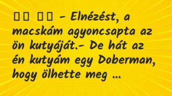 Viccek:
– Elnézést, a macskám agyoncsapta az ön… Viccek:
– Elnézést, a macskám agyoncsapta az ön…