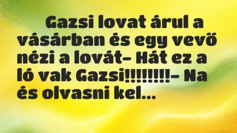 Viccek: 
		  
		  Gazsi lovat árul a vásárban és egy vevő nézi a…