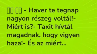 Viccek: 
		  
		  – Haver te tegnap nagyon részeg voltál!-…