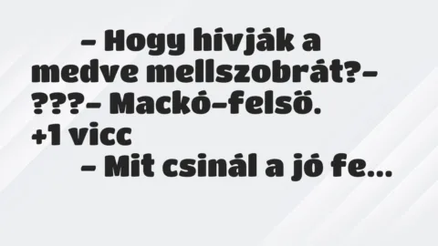 Viccek: 
		  
		  – Hogy hívják a medve mellszobrát?- ???- …