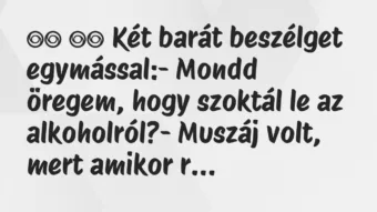 Viccek: 
		  
		  Két barát beszélget egymással:- Mondd öregem,…