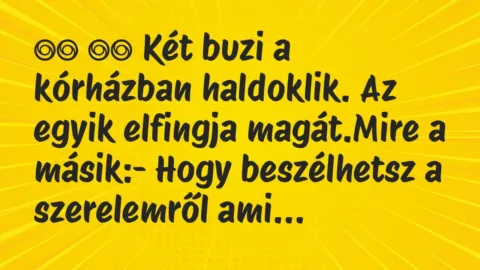Viccek: 
		  
		  Két buzi a kórházban haldoklik. Az egyik elfingja…