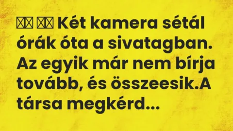 Viccek:
Két kamera sétál órák óta a sivatagban. Az egyik … Viccek:
Két kamera sétál órák óta a sivatagban. Az egyik …