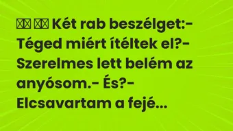 Viccek: 
		  
		  Két rab beszélget:- Téged miért ítéltek…