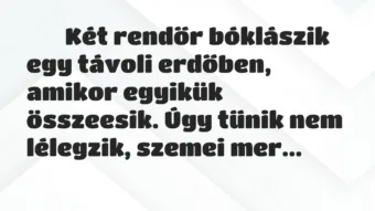 Viccek: 
		  
		  Két rendőr bóklászik egy távoli erdőben, amikor…